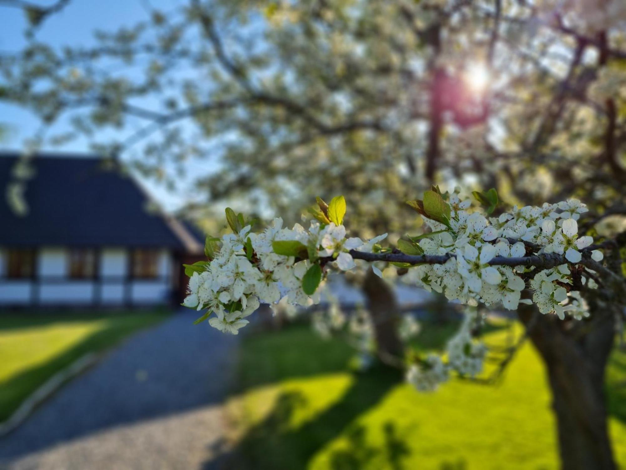 B&B Bauernhofferien Auf Mon, Schaeferwagen " Dark Sky" Askeby Esterno foto