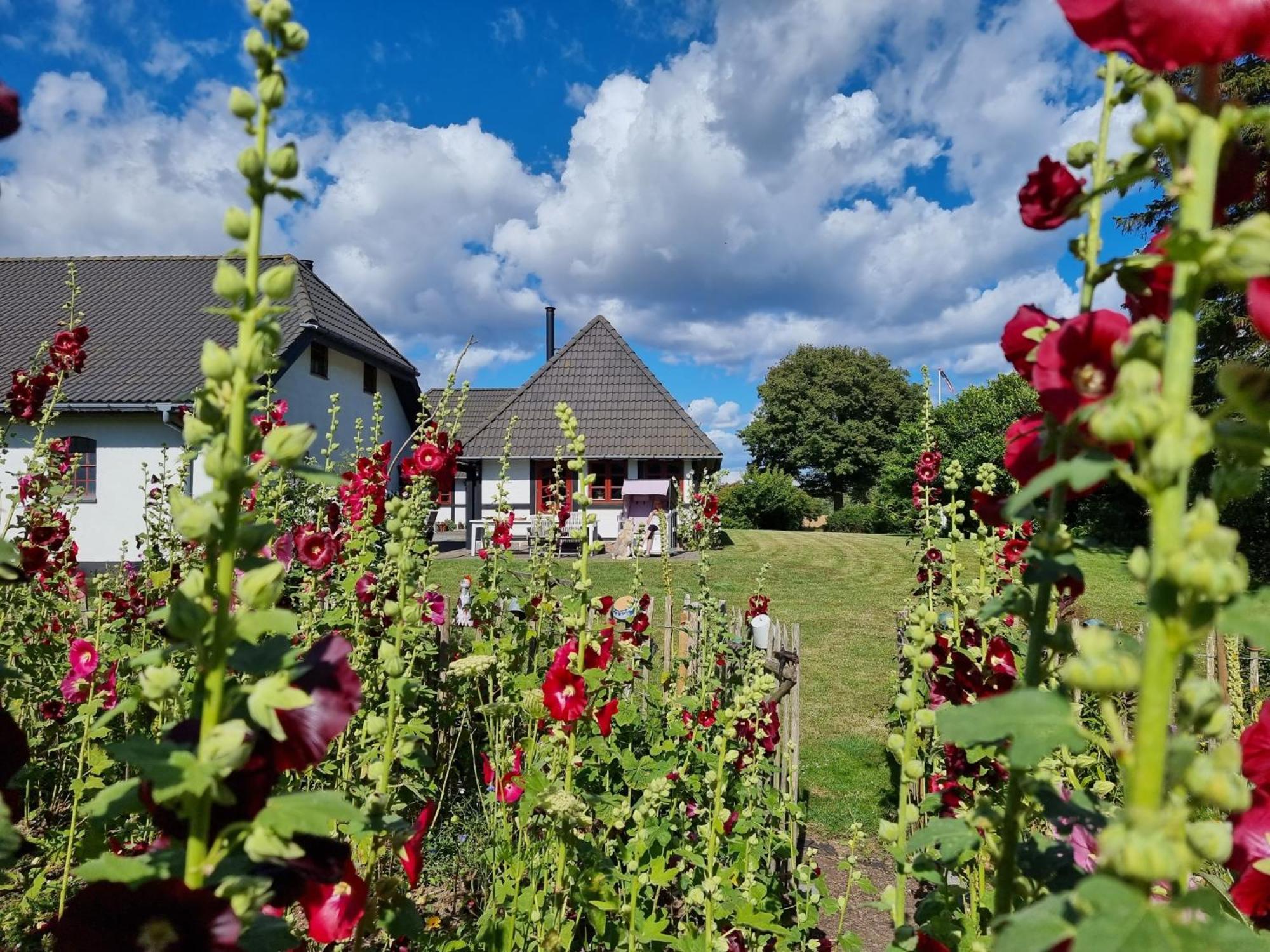 B&B Bauernhofferien Auf Mon, Schaeferwagen " Dark Sky" Askeby Esterno foto